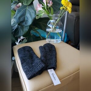 CLEARANCE: Aritzia Fleece Lined Mittens